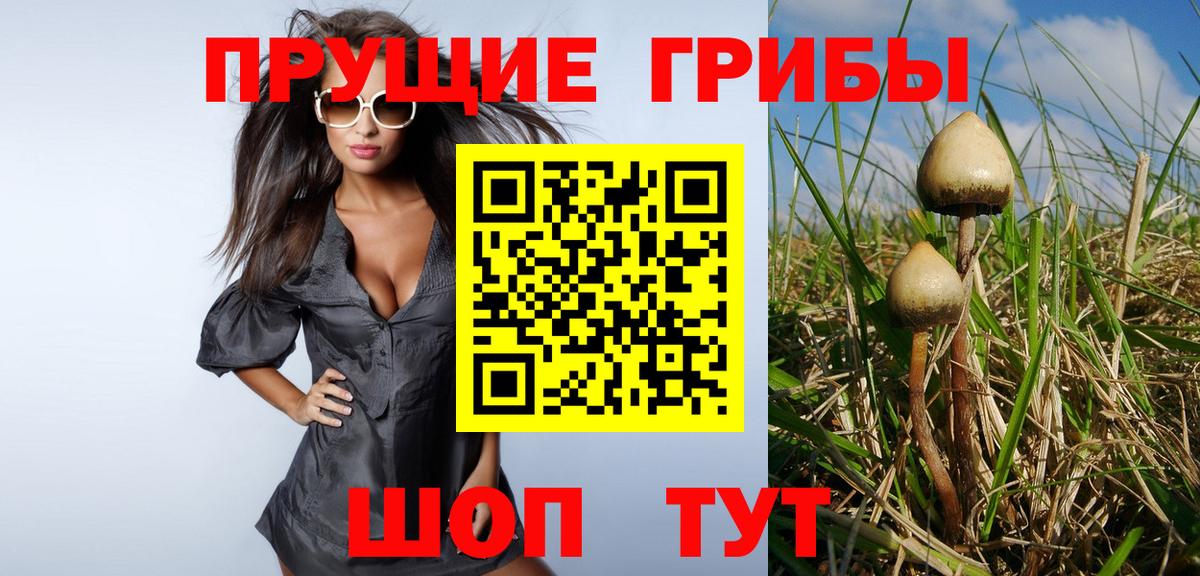 Псилоцибиновые грибы прущие грибы Гудермес