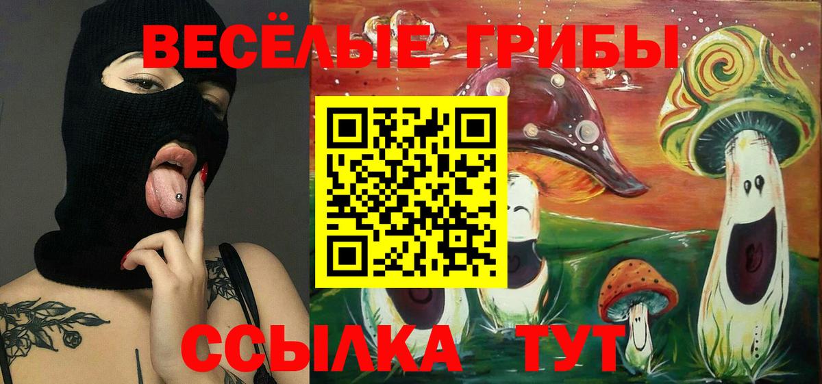 Галлюциногенные грибы мухоморы  Вход с VPN  Гудермес  Псилоцибиновые грибы ЛСД 